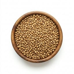Coriander